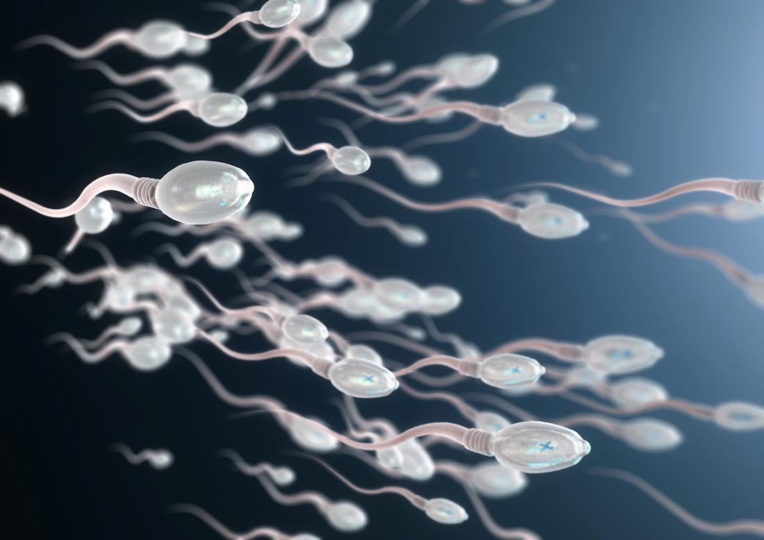 Sperm Sayısı düşüklüğü ve kısırlık