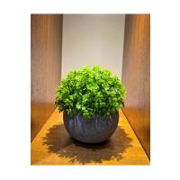 Flora Esinti – Gerçekçi Görünümlü Saksıda Yapay Çiçek