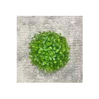 Modern Gri Saksılı Yapay Yeşil Bitki - Yaşam Alanınıza Doğal Dokunuş (13x17 cm)