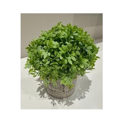 Dekoratif Yapay Bitki Seti - Saksıda Gerçekçi Yeşillik - 17 cm