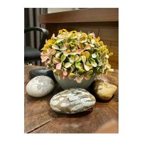 Modern Gri Saksıda Gerçekçi Yapay Dekoratif Bitki – 17 x13 cm – Ev ve Ofis Dekoru