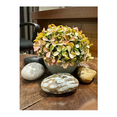 Modern Gri Saksıda Gerçekçi Yapay Dekoratif Bitki – 17 x13 cm – Ev ve Ofis Dekoru