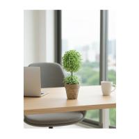Dekoratif Saksılı Yapay Şimşir - 24 cm - Bakım Gerektirmeyen Taze & Yeşil Ev Ofis Dekoru