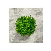 Doğal Görünümlü Dekoratif Eskitme Saksılı Yapay Top Şimşir Ağacı - Masaüstü Ofis ve Ev Dekoru