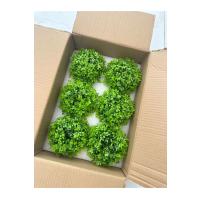 6 Adet Taş Tozu Saksılı Yapay Yeşillik - Minyatür Dekoratif Şimşir Topu Seti