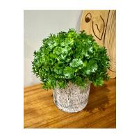 Modern Tasarım: Saksıda Dekoratif Yapay Yeşillik 17 cm