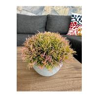 Premium Yapay Saksılı Çim Bitki - Dekoratif Ev Ofis Aksesuarı 13x16 cm ✨