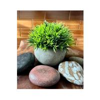 6'lı Özel Polystone Saksılı Yapay Çim Topu Seti - Dekoratif Masa Çiçeği - Taş Görünümlü Saksı