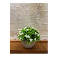 Naturel Görünümlü Saksılı Beyaz Çiçekli Dekoratif Bitki (13x17 cm)