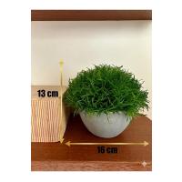 12'li Karışık Renk Yapay Şimşir Top Seti - Cafe, Restoran ve Ev İçin Masa ve Saksılı Yapay Çiçek