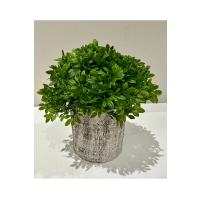 Masanızın Yeni Favorisi: Dekoratif Minimalist Yeşil - Gerçekçi Yeşil Yapay Çiçek