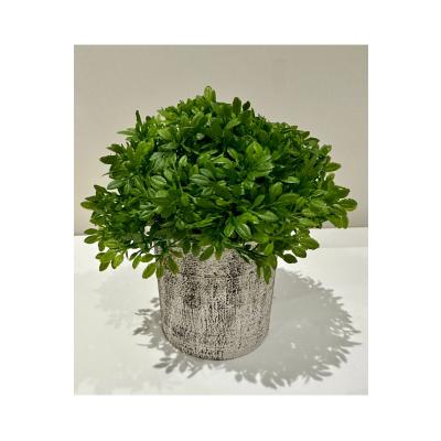 Masanızın Yeni Favorisi: Dekoratif Minimalist Yeşil - Gerçekçi Yeşil Yapay Çiçek