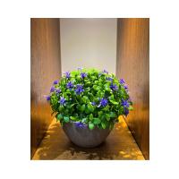 Safir Moru Detaylı Modern Yapay Bitki Tasarımı (13 cm x 17 cm)