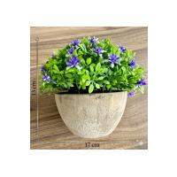 Premium Saksılı Yapay Çiçek Dekoratif Masaüstü Bitkisi 13x16 cm ?