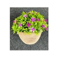 Premium Yapay Çiçek Saksıda Pembe Dekoratif Ev Ofis Bitkisi ?