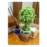 Dekoratif Saksılı Yapay Şimşir - 24 cm - Bakım Gerektirmeyen Taze & Yeşil Ev Ofis Dekoru