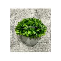 Modern Gri Saksılı Yapay Yeşil Bitki - Yaşam Alanınıza Doğal Dokunuş (13x17 cm)