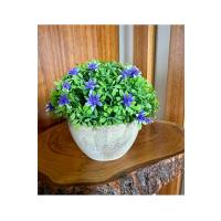 Premium Saksılı Yapay Çiçek Dekoratif Masaüstü Bitkisi 13x16 cm ?