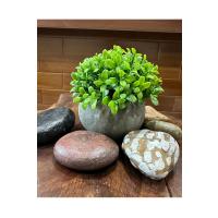 Yapay Şimşir (Boxwood) Çiçeği Premium Antrasit Saksılı Ofis Ev Dekorasyonu ?