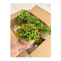 12'li Saksılı Yapay Çiçek ve Bitki Seti - Cafe Restoran Masa Üstü Dekor