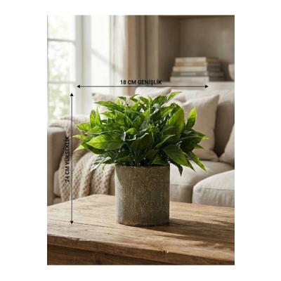 Dekoratif Eskitme Gri Saksıda Gerçekçi Yapay Yeşil Bitki - Modern Masa ve Raf Çiçeği (24x18 cm)
