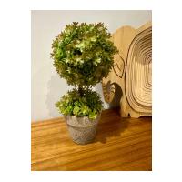 Premium Yapay Sukulent / Canlı Görünümlü Dekoratif Bitki - Gri Saksılı 13x17 cm