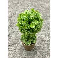 24 cm Yapay Çiçek - Hediyelik Saksılı Dekoratif Şimşir Topu