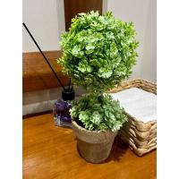 24 cm Yapay Çiçek - Hediyelik Saksılı Dekoratif Şimşir Topu