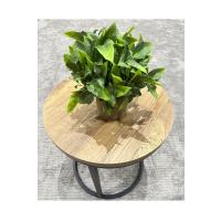 Dekoratif Eskitme Gri Saksıda Gerçekçi Yapay Yeşil Bitki - Modern Masa ve Raf Çiçeği (24x18 cm)