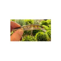 5'li Long Cast Maket Balık Seti - 10cm 29gr - Uzun Mesafe Atış ve Sırtı Yemi