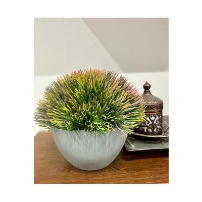 Yapay Scleranthus (Minder Çiçeği) Kızıl Yeşil Antrasit Saksılı Premium Dekor ?