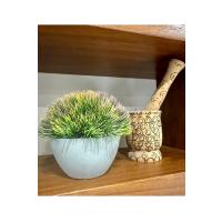 Yapay Scleranthus (Minder Çiçeği) Kızıl Yeşil Antrasit Saksılı Premium Dekor ?