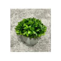 Modern Gri Saksılı Yapay Yeşil Bitki - Yaşam Alanınıza Doğal Dokunuş (13x17 cm)