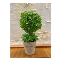 Geometrik Estetik: İkili Küre Formlu Canlı Yeşil Dekoratif Bitki (24 cm x 10 cm)