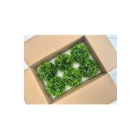 6'lı Özel Polystone Saksılı Yapay Çim Topu Seti - Dekoratif Masa Çiçeği - Taş Görünümlü Saksı