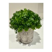 Modern Tasarım: Saksıda Dekoratif Yapay Yeşillik 17 cm