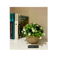 Naturel Görünümlü Saksılı Beyaz Çiçekli Dekoratif Bitki (13x17 cm)