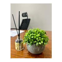 Yapay Şimşir (Boxwood) Çiçeği Premium Antrasit Saksılı Ofis Ev Dekorasyonu ?