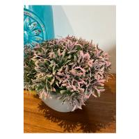 Premium Yapay Grevillea Çiçeği Antrasit Saksılı Premium Ev Ofis Dekorasyonu ?