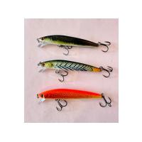 6'lı Süper Set: 9.6cm 9.8gr Sığ Su Avcısı Rapala