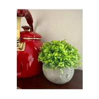 6 Adet Taş Tozu Saksılı Yapay Yeşillik - Minyatür Dekoratif Şimşir Topu Seti