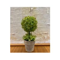 Minimalist Çift Katlı Yeşim Topiary Aranjmanı (24 cm x 10 cm)