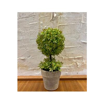 Minimalist Çift Katlı Yeşim Topiary Aranjmanı (24 cm x 10 cm)