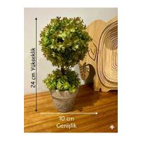 Premium Yapay Sukulent / Canlı Görünümlü Dekoratif Bitki - Gri Saksılı 13x17 cm