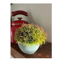 Premium Yapay Saksılı Çim Bitki - Dekoratif Ev Ofis Aksesuarı 13x16 cm ✨