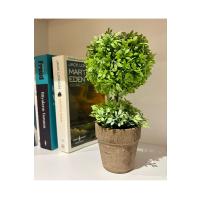 Zümrüt Yeşili İkili Topiary Aranjman (24 cm x 10 cm)