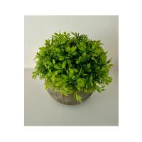 Yapay Şimşir (Boxwood) Çiçeği Antrasit Modern Saksılı Premium Ev Ofis Dekoru ?