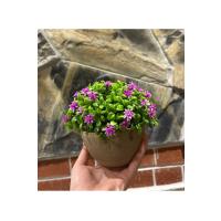 Mekanlara Rafine Bir Dokunuş: Flora Esintili Yapay Çiçek