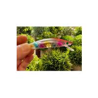 5'li Long Cast Maket Balık Seti - 10cm 29gr - Uzun Mesafe Atış ve Sırtı Yemi