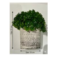 Modern Tasarım: Saksıda Dekoratif Yapay Yeşillik 17 cm